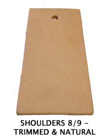 Shoulder